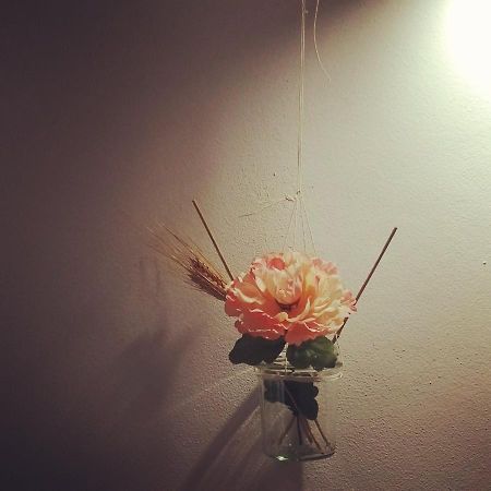 فندق تْشيتّا دي كاستيلّوفي  A Casa Mia المظهر الخارجي الصورة