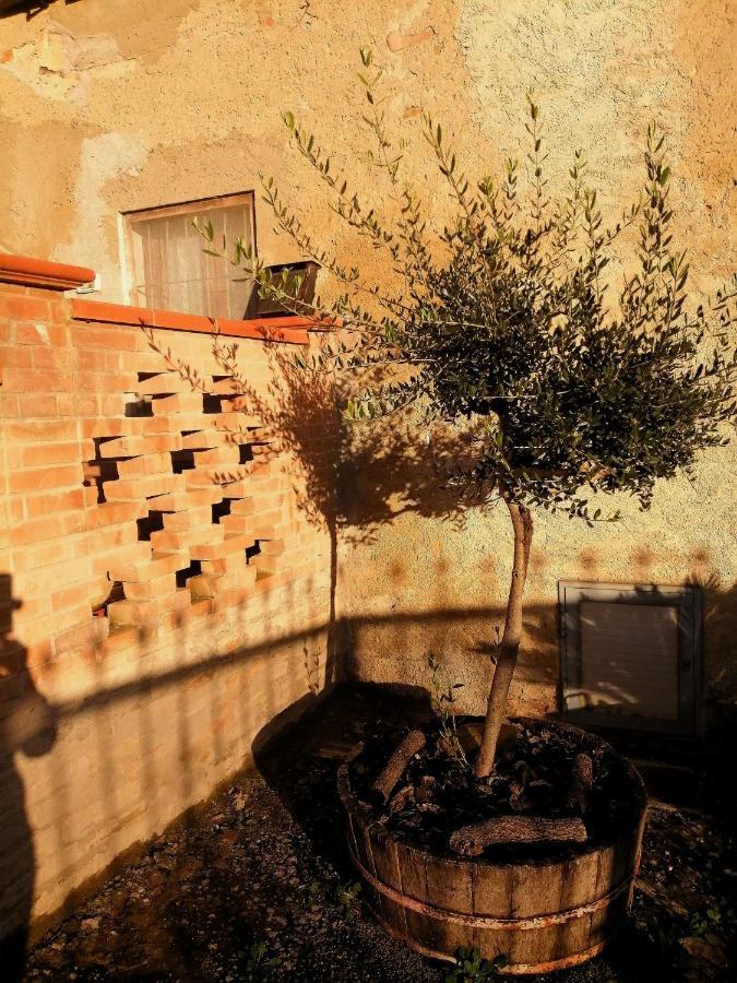 فندق تْشيتّا دي كاستيلّوفي  A Casa Mia المظهر الخارجي الصورة